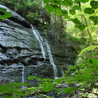 A trailside falls